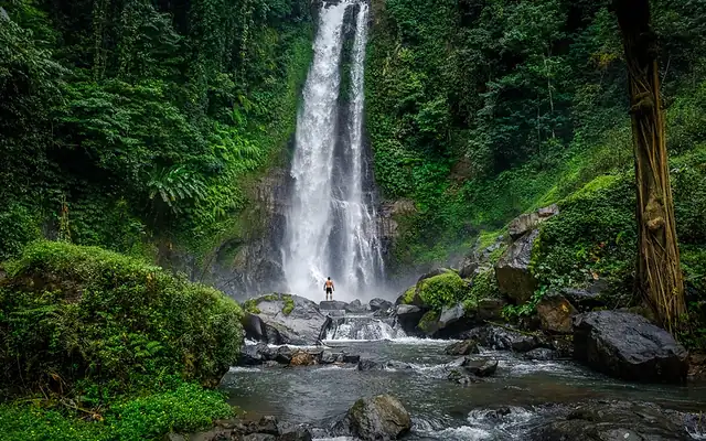 Waterfall in the Bali rainforest